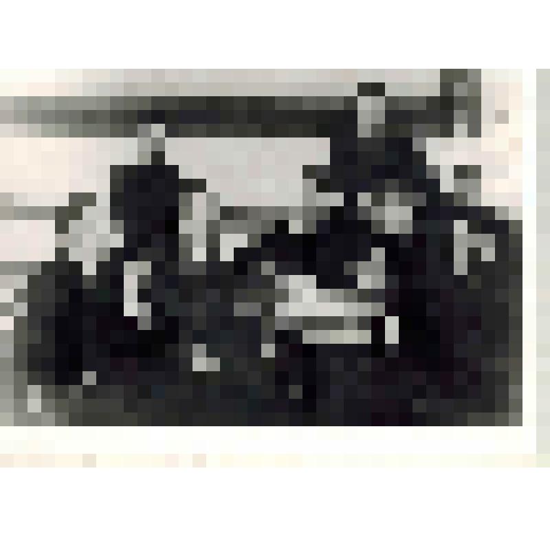 Фотокопия. Бухарин А.И. беседует с делегатами 4-го конгресса Коминтерна