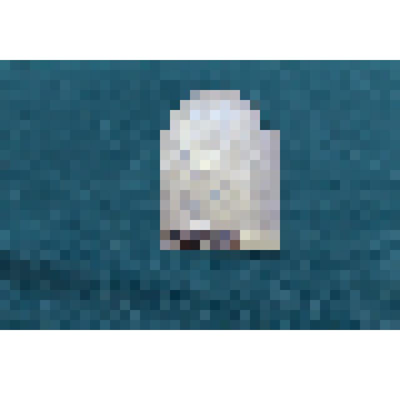 Средник складня "Иисус Вседержитель" 