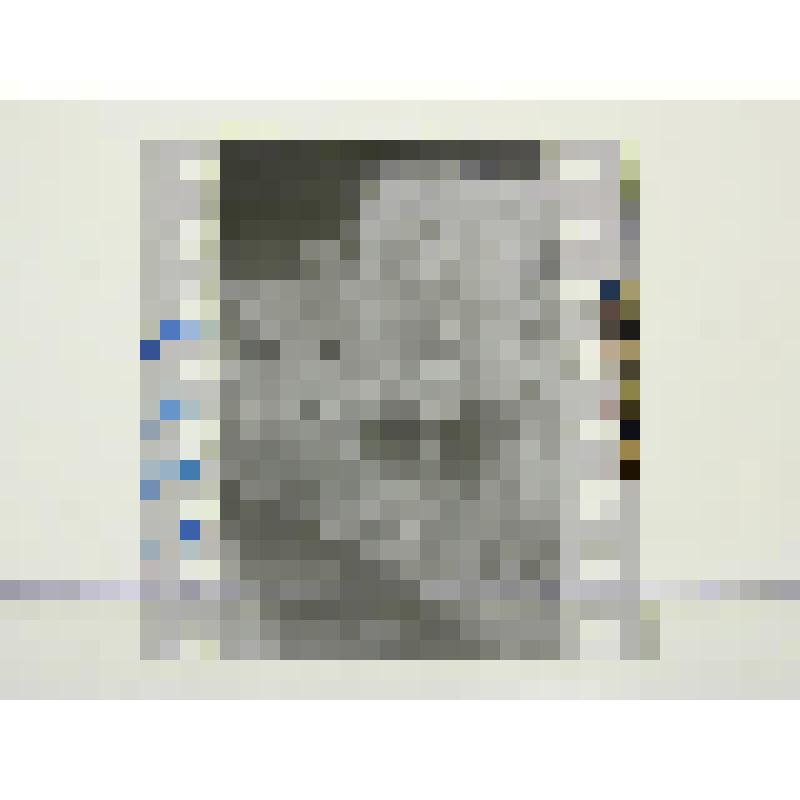 Пензенская  обл., г. Пенза. Деревянный дом, улица Красная, 66, дом художника И.С. Горюшкина-Сорокопудова (1873-1954). Торец дома