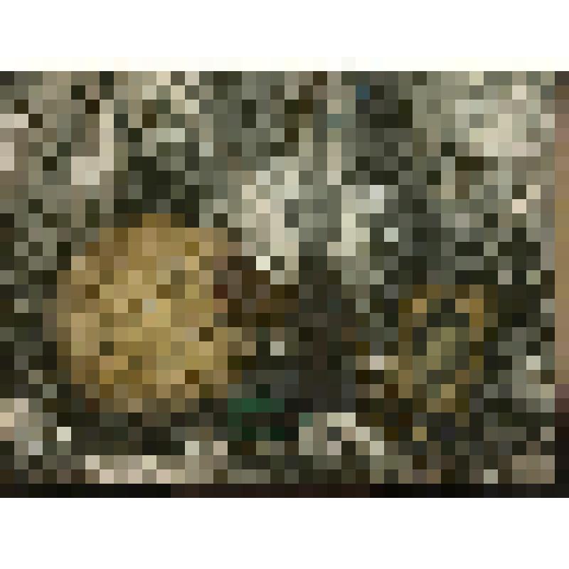 Графика. "Натюрморт с разбитой лампой"