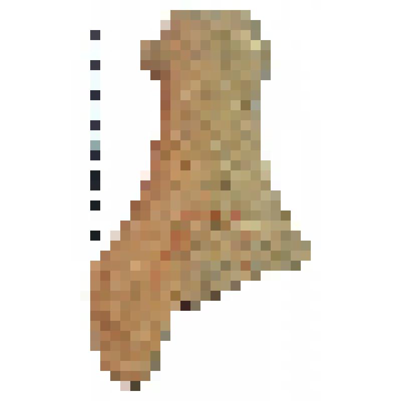 Горло амфоры типа D с дипинти