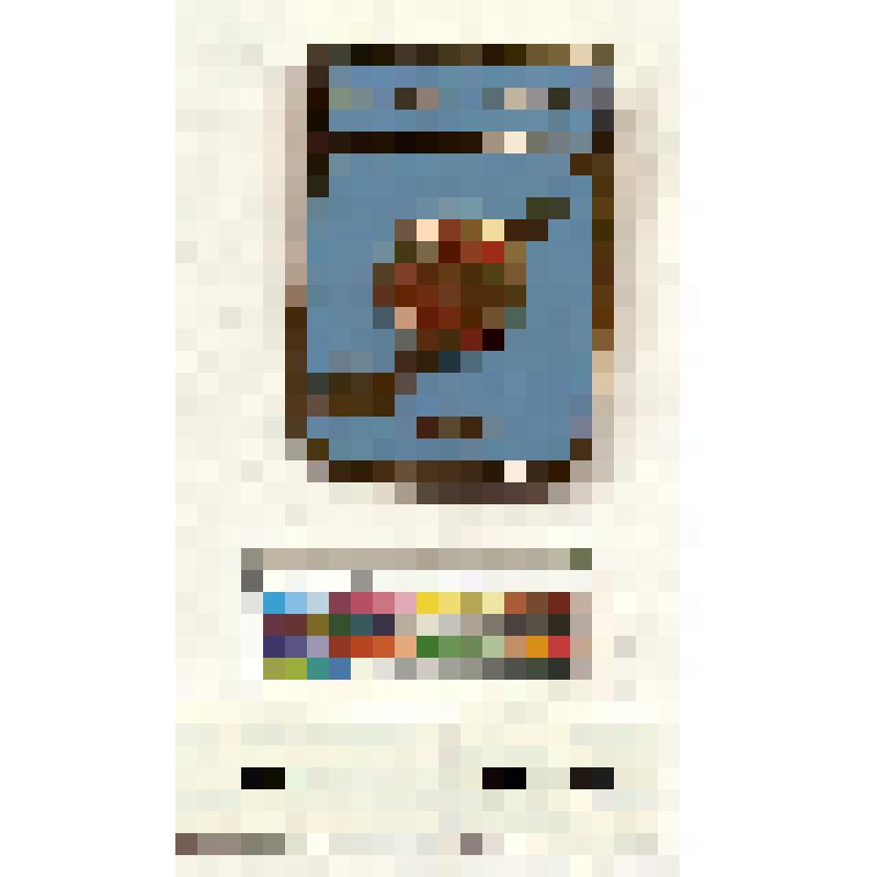 СССР. Знак. Чемпионата мира по хоккею с шайбой, 1986 г. Служебный