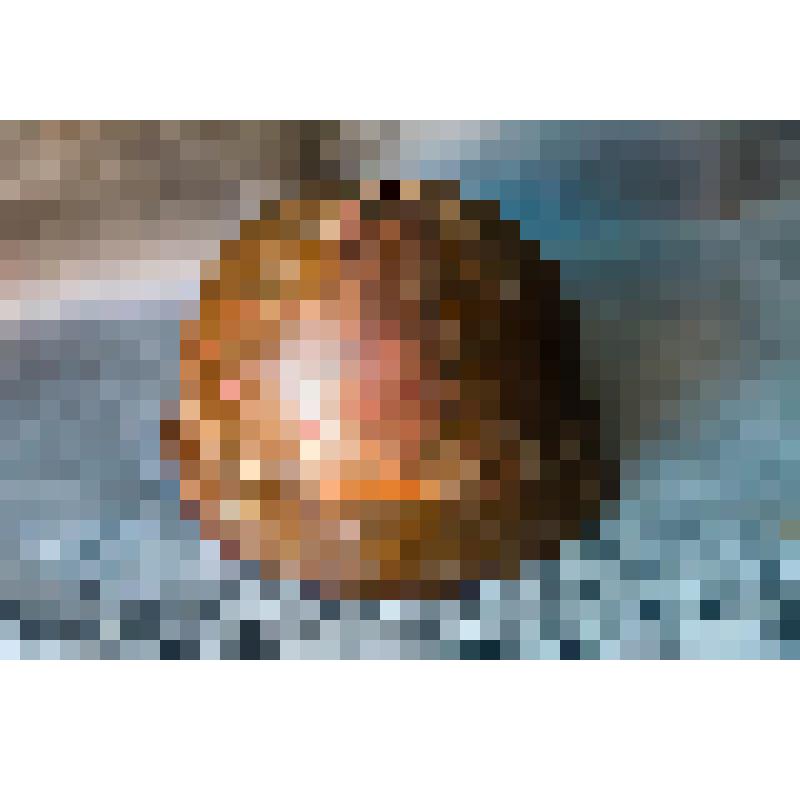 Каска