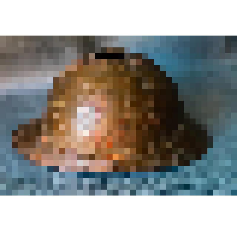 Каска