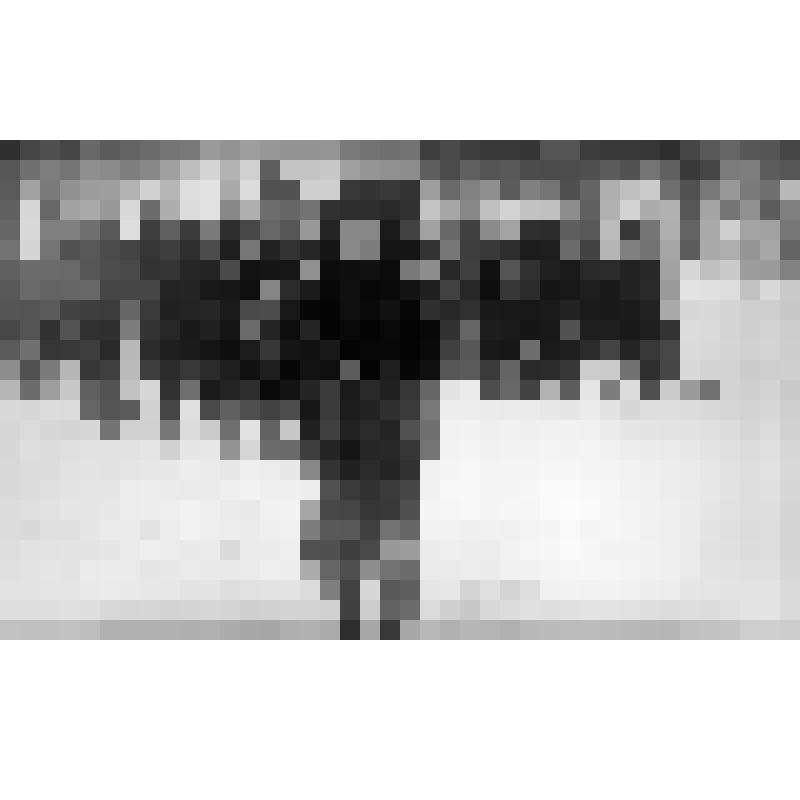 Серия фотографий с авторской фотовыставки "Мой взгляд". Фото цв. Зимний праздник. 1987 г