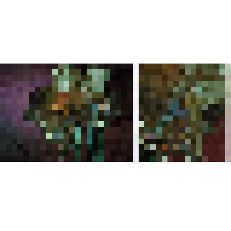 Комплект открыток «Знайте, любите, охраняйте природу». Открытка