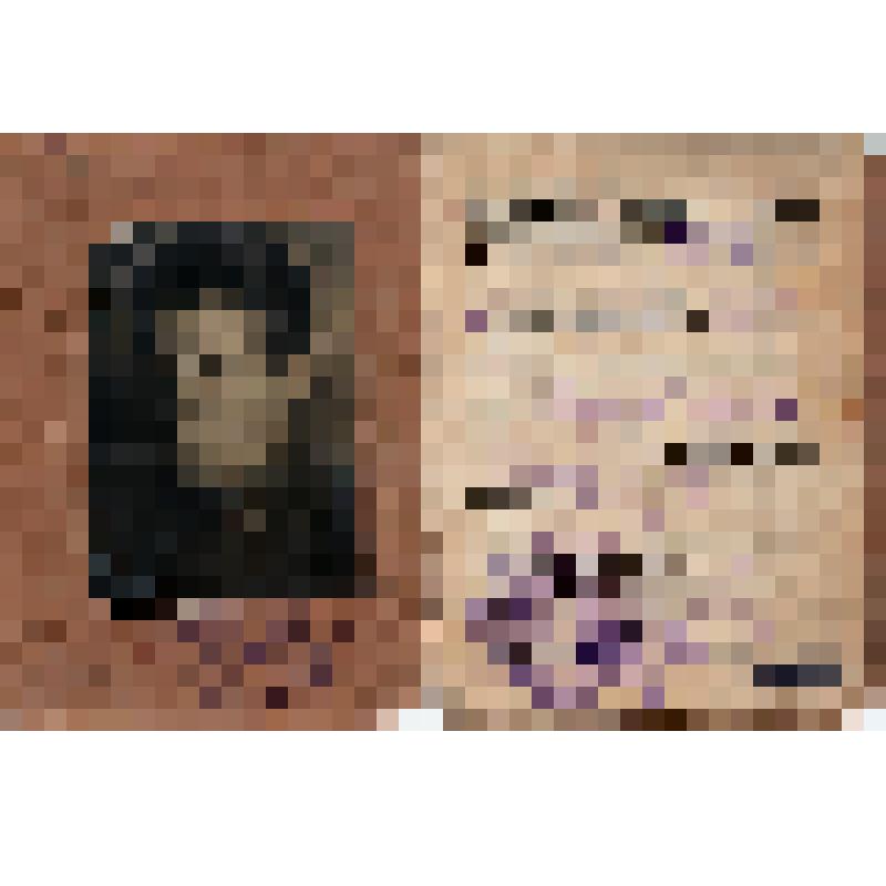 Студенческий билет Михеева В.С