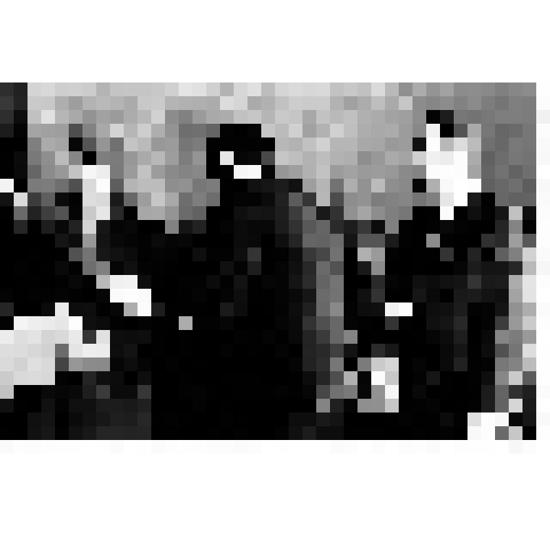 Районный "Огонек" доярок с участием 1-го секретаря Азовского РК КПСС Г.А. Шкуро