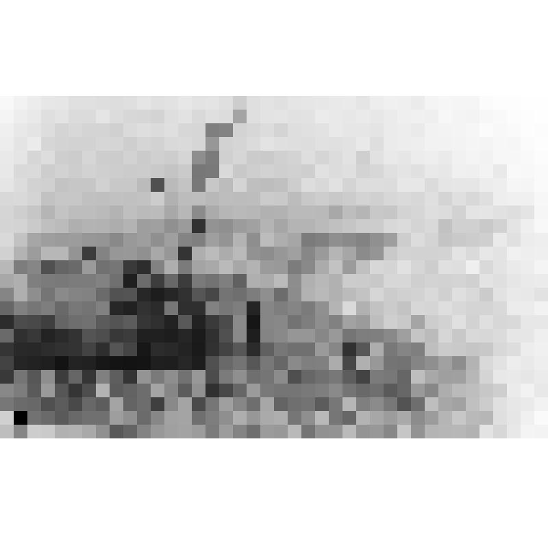 Погрузка ящиков с костями трогонтериевого слона в грузовую машину