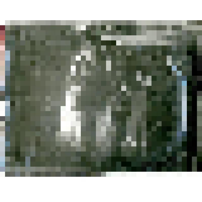 Фотография. Якутка мнет кожу