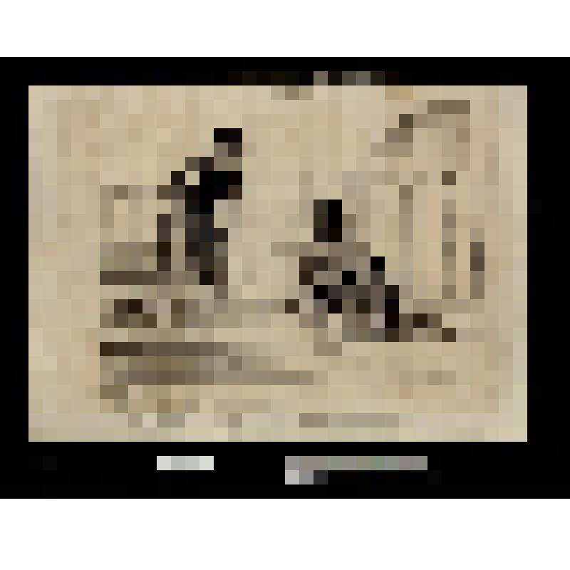 « Ah! ben par exemple le convoi qui va venir peut se flatter de l'échapper d'une belle! ...» 