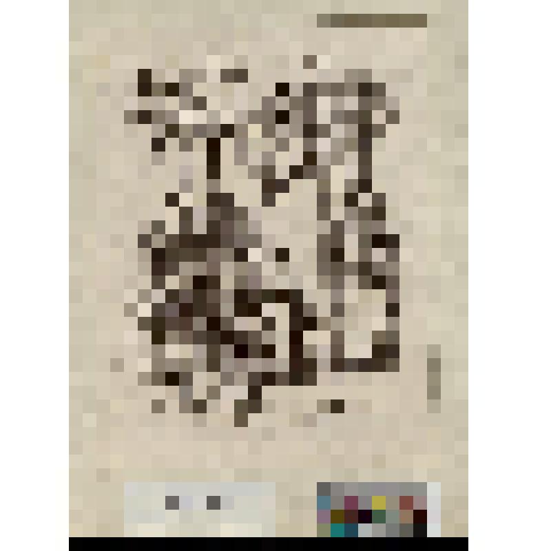 Столпившиеся перед купольным театром в саду - военные, женщины и дети