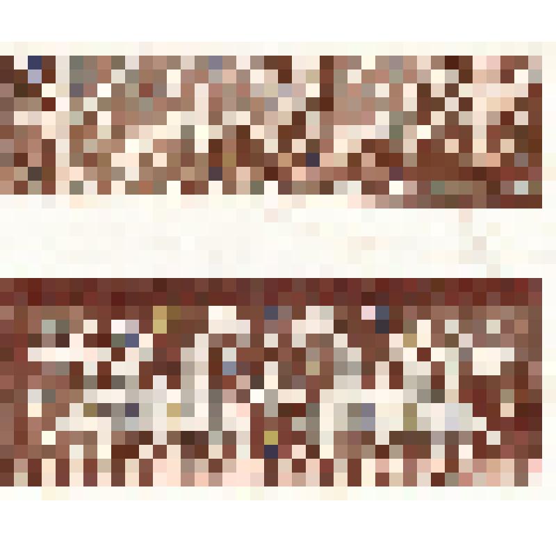 Зарисовки вышивки. Из альбома «Калужская народная вышивка»