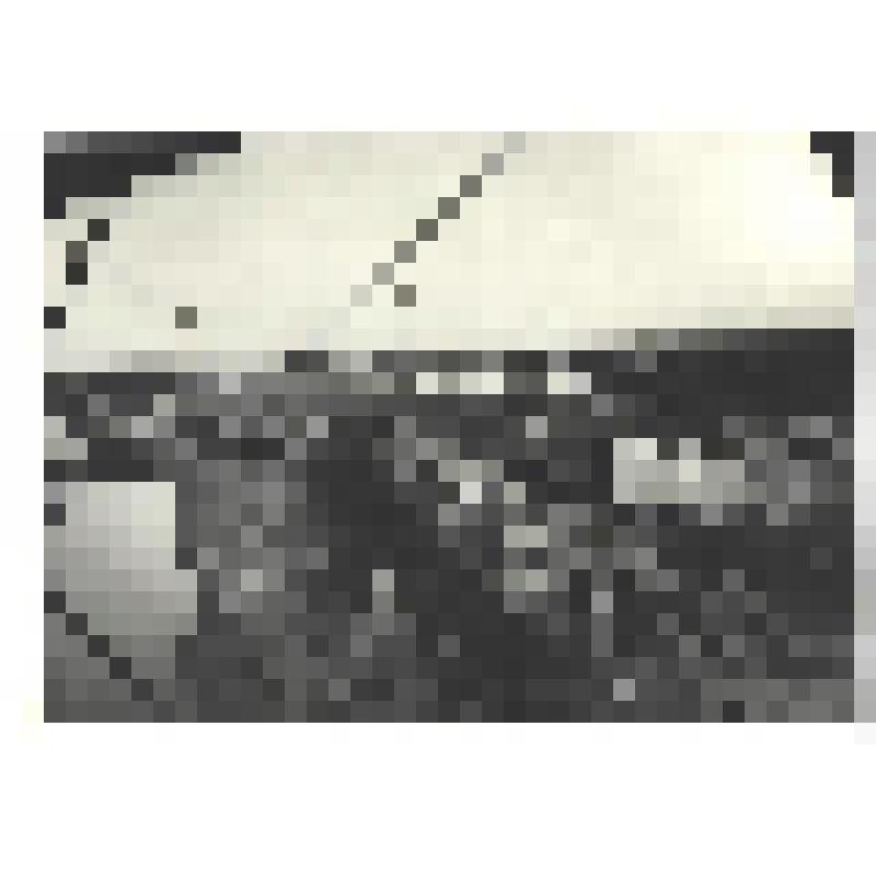 Фотографии. Фото ч/б. Брестская крепость в день освобождения от фашистов