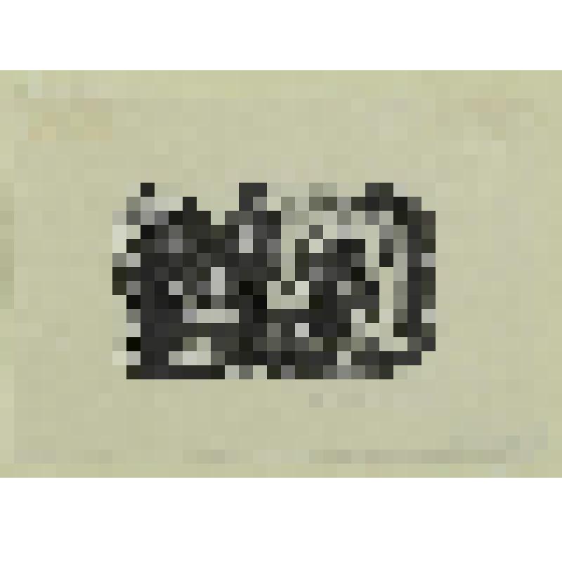 Иллюстрация к "Кентерберийским рассказам" Джерри Чосера. гравюра