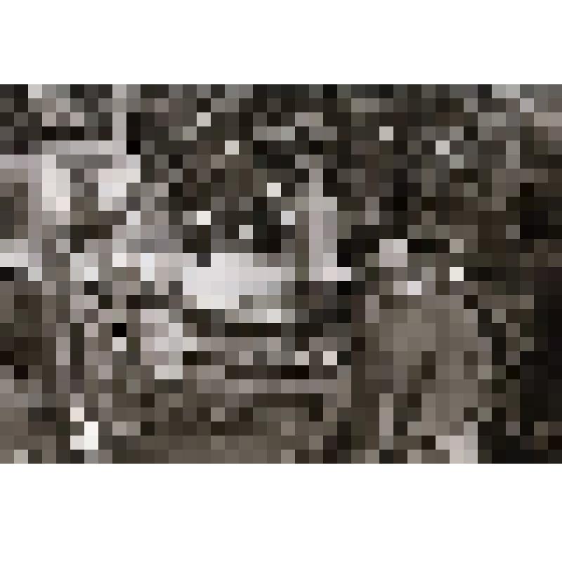 Фотонегатив черно-белый. Занятия по изучению трактора "Беларусь"