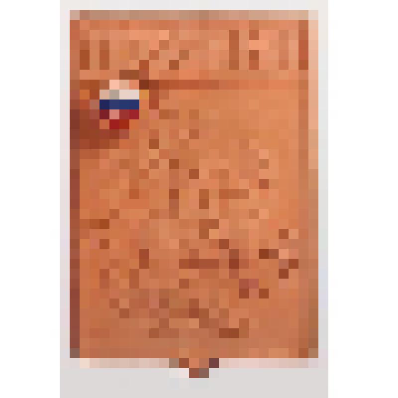 "Герб Москвы". Плакета