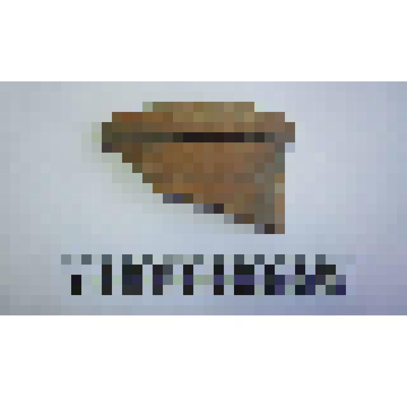 Венчик амфоры типа Зеест 75