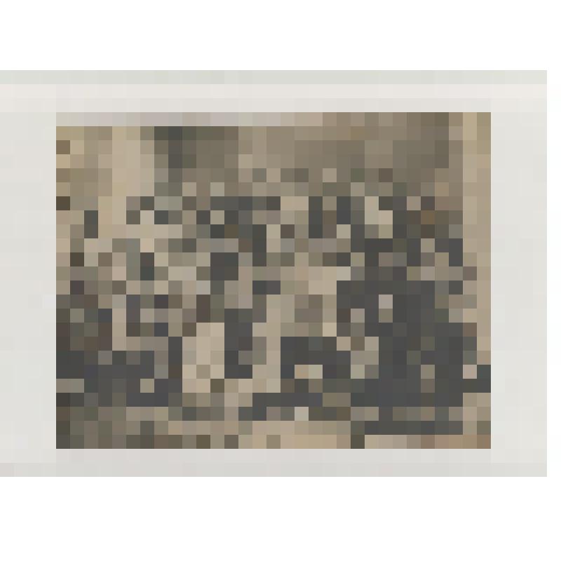 Фотография. Участники хора одной из церквей с.Б.Мурашкино