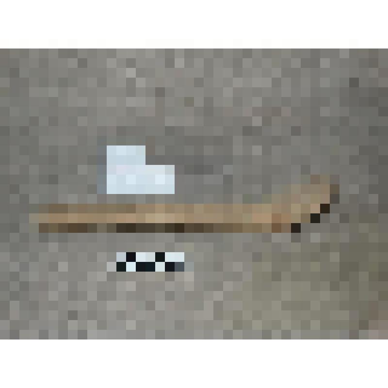 Пестик в виде продолговатой изогнутой ложки