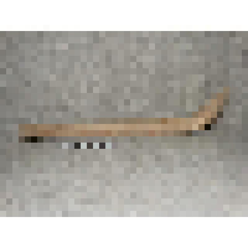 Пестик в виде продолговатой изогнутой ложки