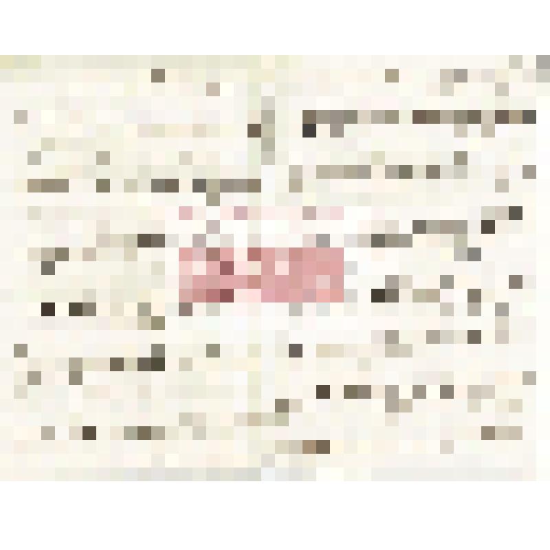 Письмо Ф. Солей(?) на французском языке