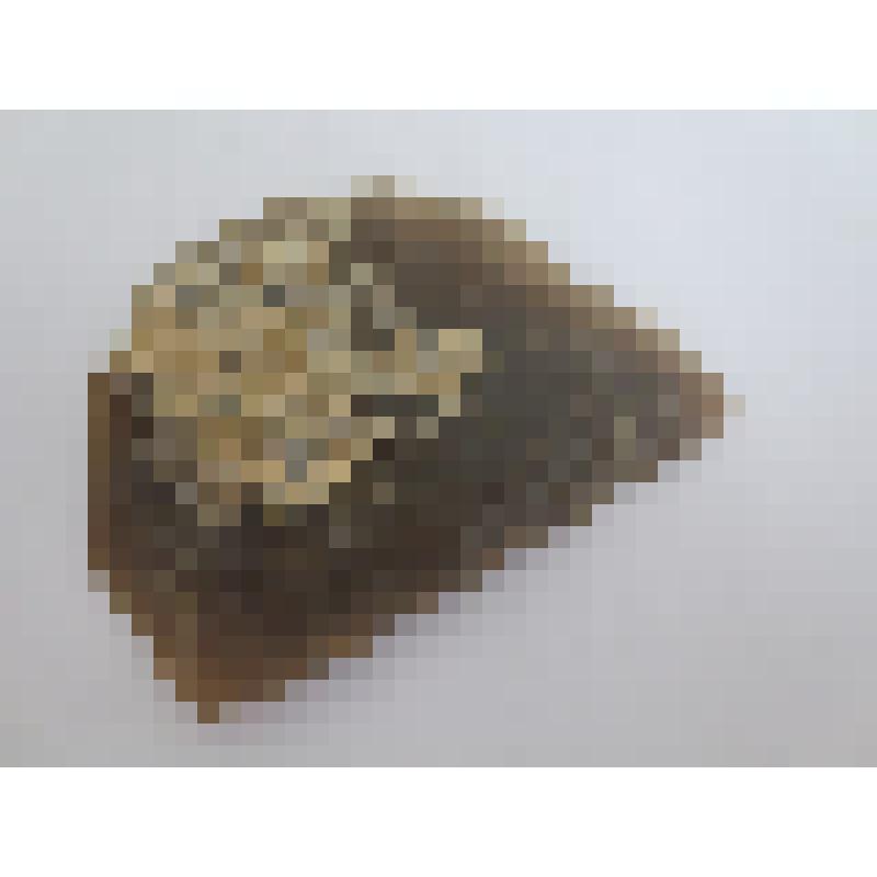 Скребло двойное угловатое