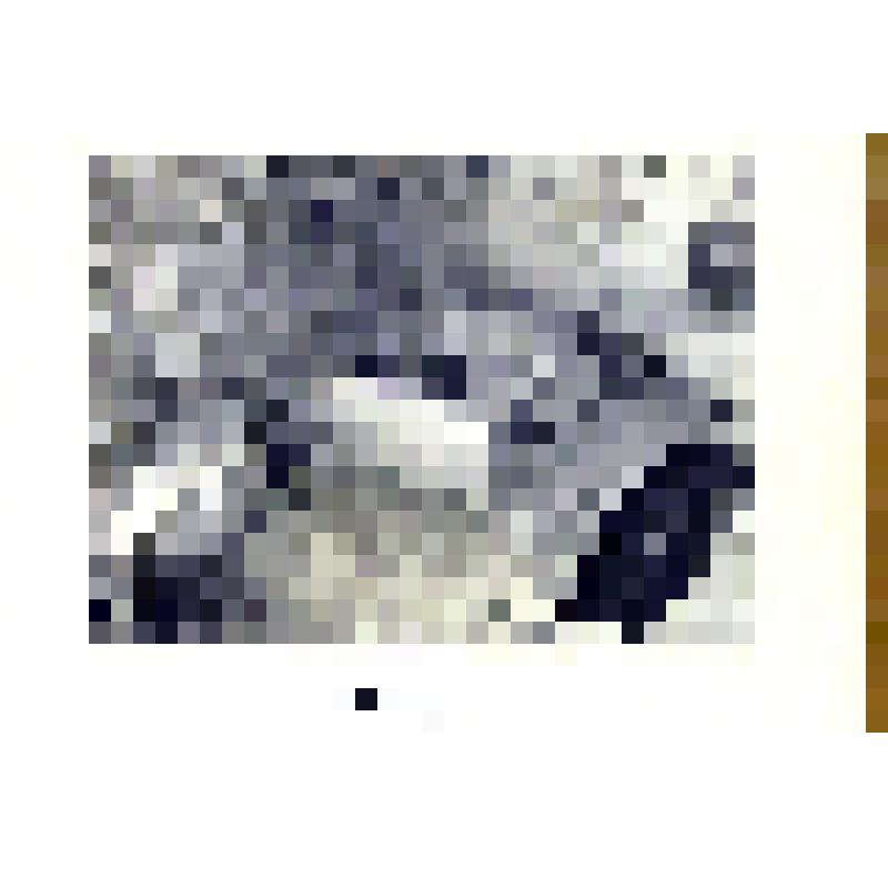 Фотография чёрно-белая. Фотография из альбома «Тепе-Кермен»