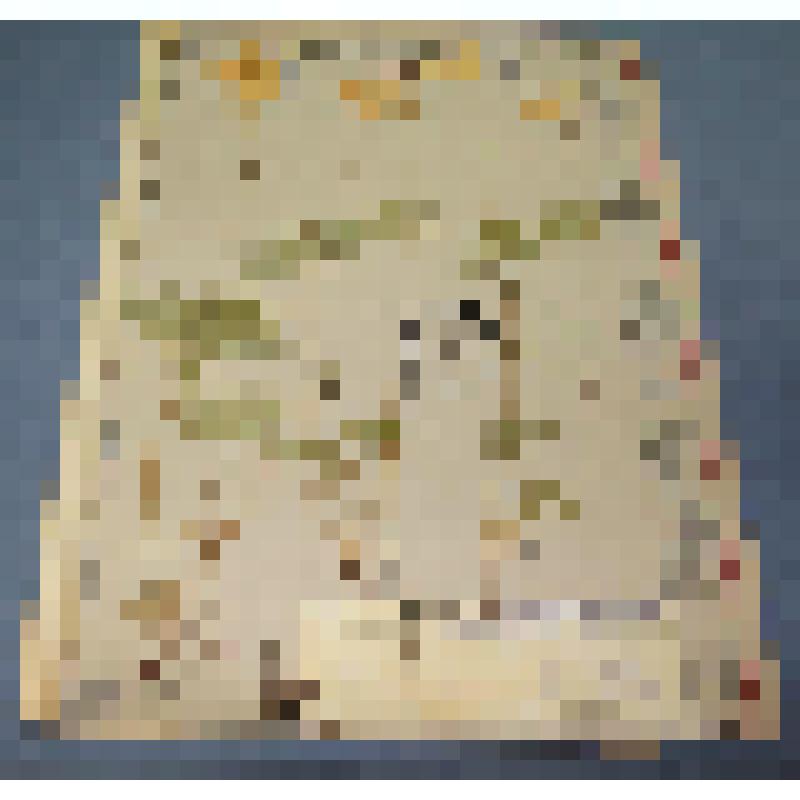 Ботаническая коллекция. Ветреница лесная, на гербарном листе, Абакан, северный склон Самохвала. Ranunculaceae Anemone sillvestres Z