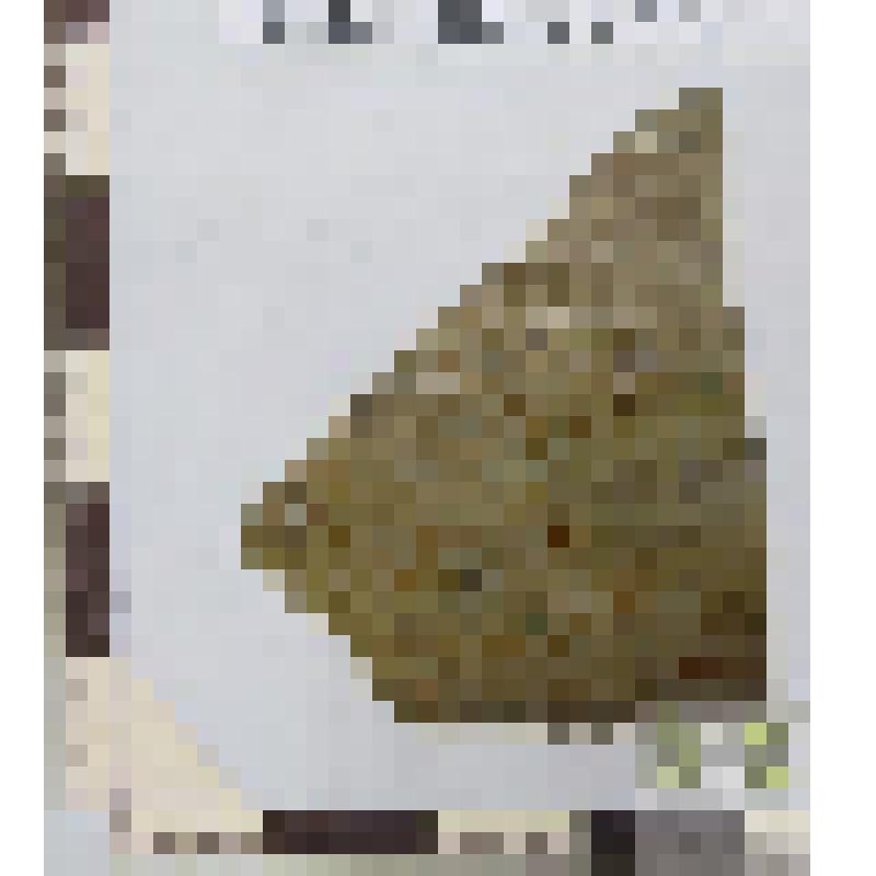 Стенки глазурованной миски фрагмент