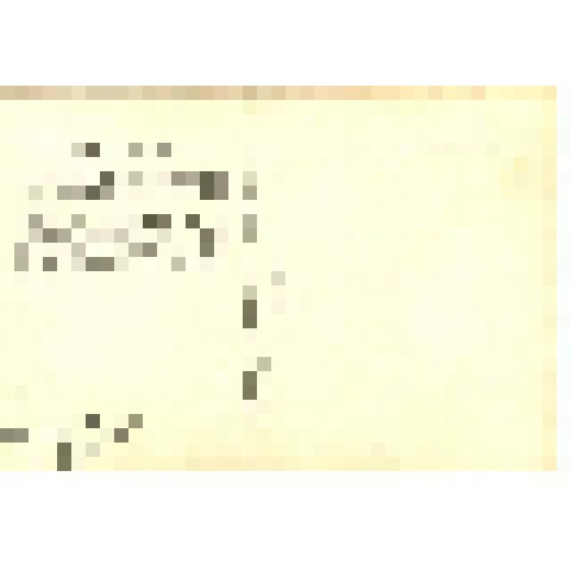 Фото-открытка. Майя Менглет