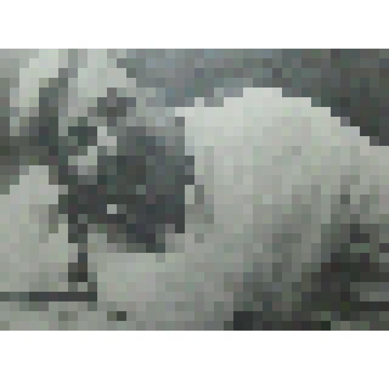 Григорий Степанович Пирогов