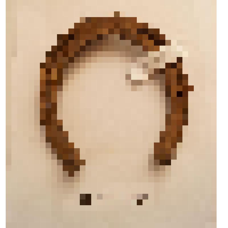 Подкова передняя с гвоздем