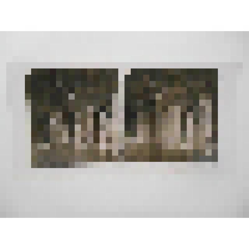 Франция, Версаль. Аппартаменты Людовика XIV. Зал "Венеры". Вид зала. Neue Photographische Geseltschaft A. G. Berlin-Steglitz