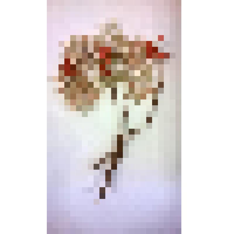 "Ветви рябины из бисера "