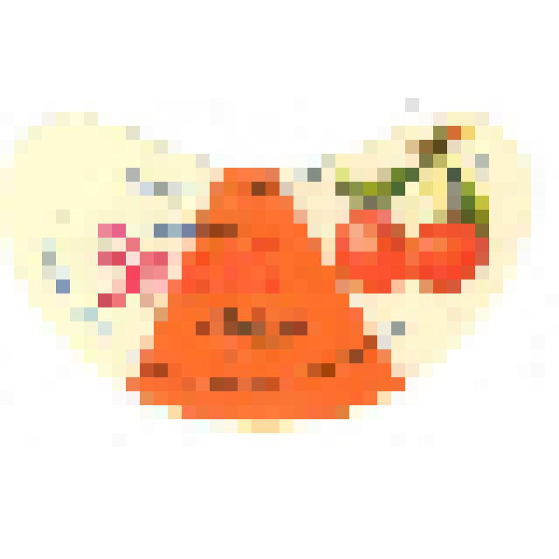 Кольеретка-этикетка горловая к напитку «Вишня» производства Сальского пивобезалкогольного завода, из коллекции кольереток – этикеток горловых к безалкогольным напиткам