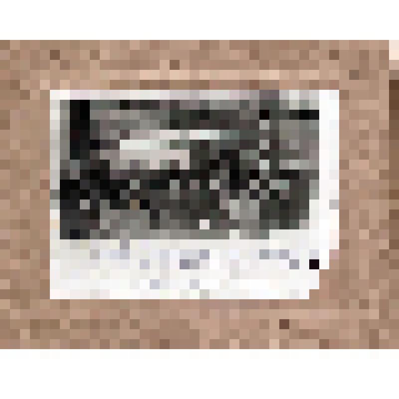 Фотография. Портрет групповой. Участники слета стахановцев лесорубов Соликамского леспромхоза. 1936 г