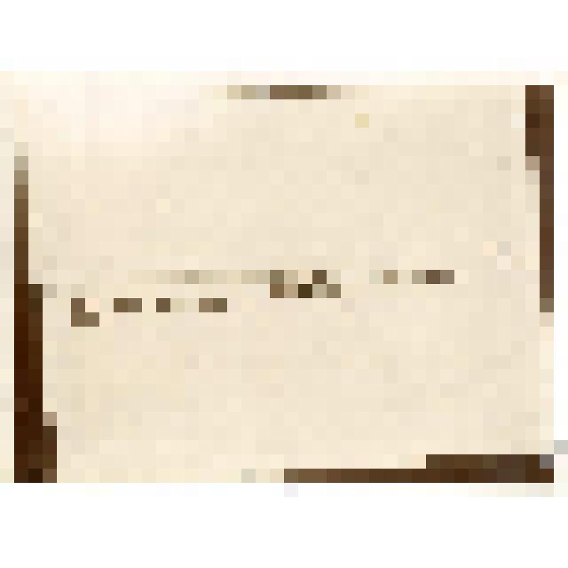 Фотография. Караван на собаках