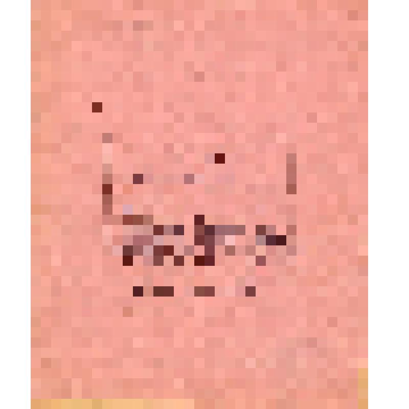 Тетрадь с рабочими материалами