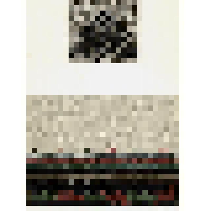 Два образца вышивки Чувашии и Мордовии. Из альбома зашивок, выполненных на различных тканях с применением разнообразных материалов в традициях народной и современной вышивки Чувашии и Мордовии