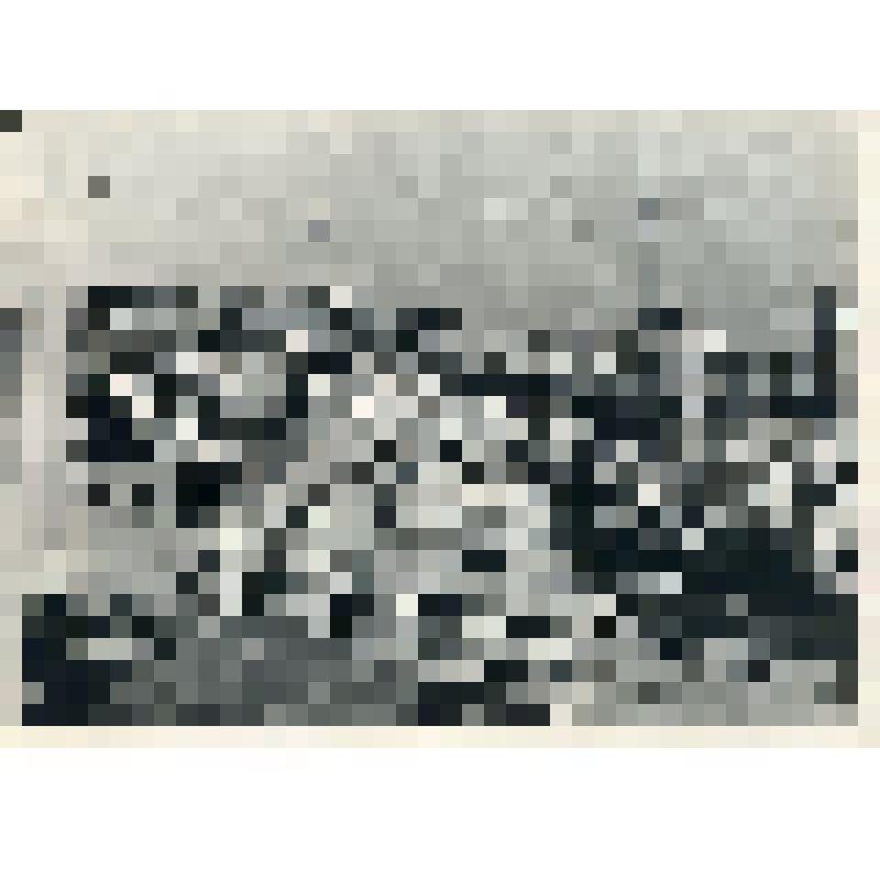 Фото. Выгрузка лесным грейфером короткомерного леса из трюма