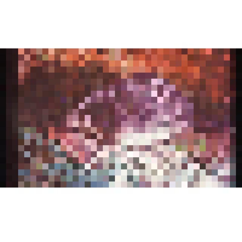 Выхухоль. Диапозитив цветной