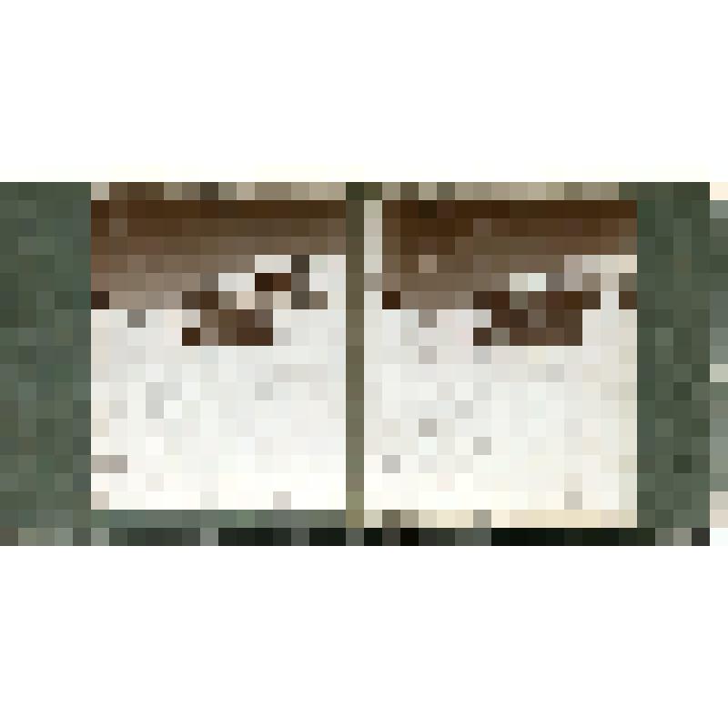 Карточка для стереоскопа «Перевал Хоти-Тау; за снежным полем Кюкуртаюкол-баши, Ю-З малая вершина Эльбруса(15165 ф. н. у. м.». Из коллекции «Кавказ» с видами природы Западного Кавказа, серии 3-№3. Автор фото Н.Л. Минервин