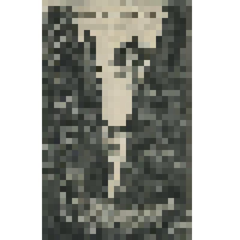 Открытка. Ущелье Чабан—таш близ Алупки