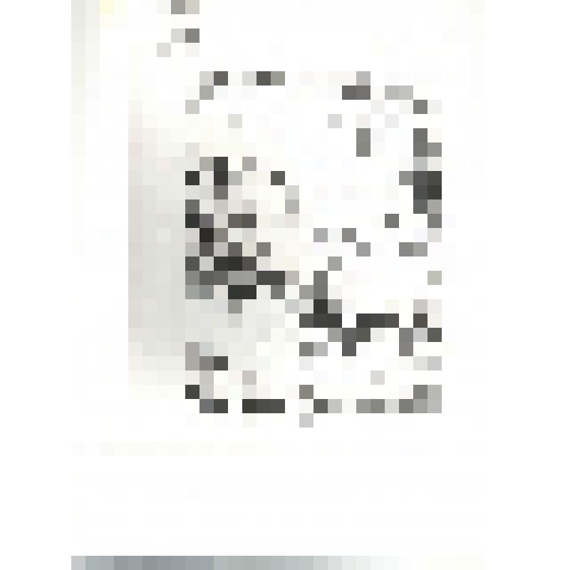 фотография
документа   " Указ  Е.Пугачева  старосте  Белоярской  слободы,  полковнику  Федоту  Кочневу,  1774 год