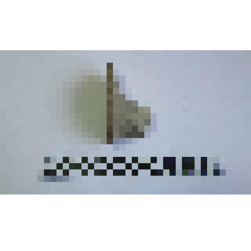 Ручка амфоры типа Зеест 72