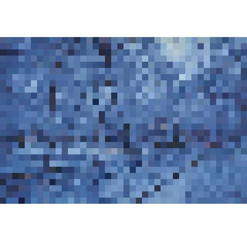 Открытка. Астрахань. Вечерняя мелодия