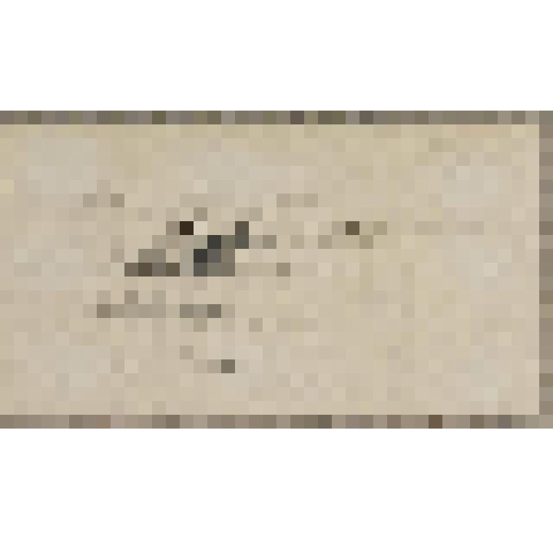 Пристань, из альбома  «190 пейзажей; зарисовки, иллюстрации, карикатуры»