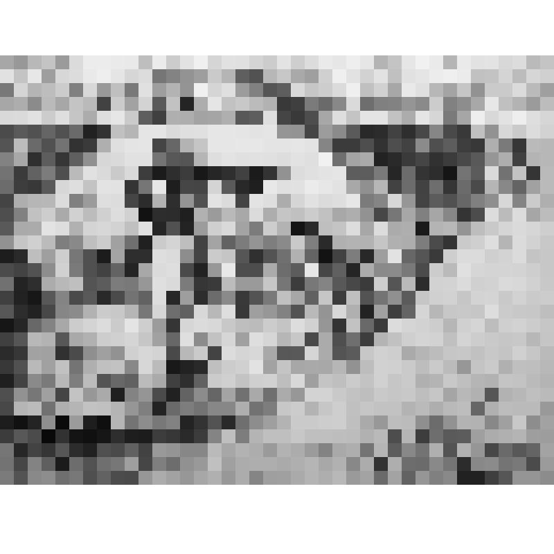 Иллюстрация. В желудке у рыбы