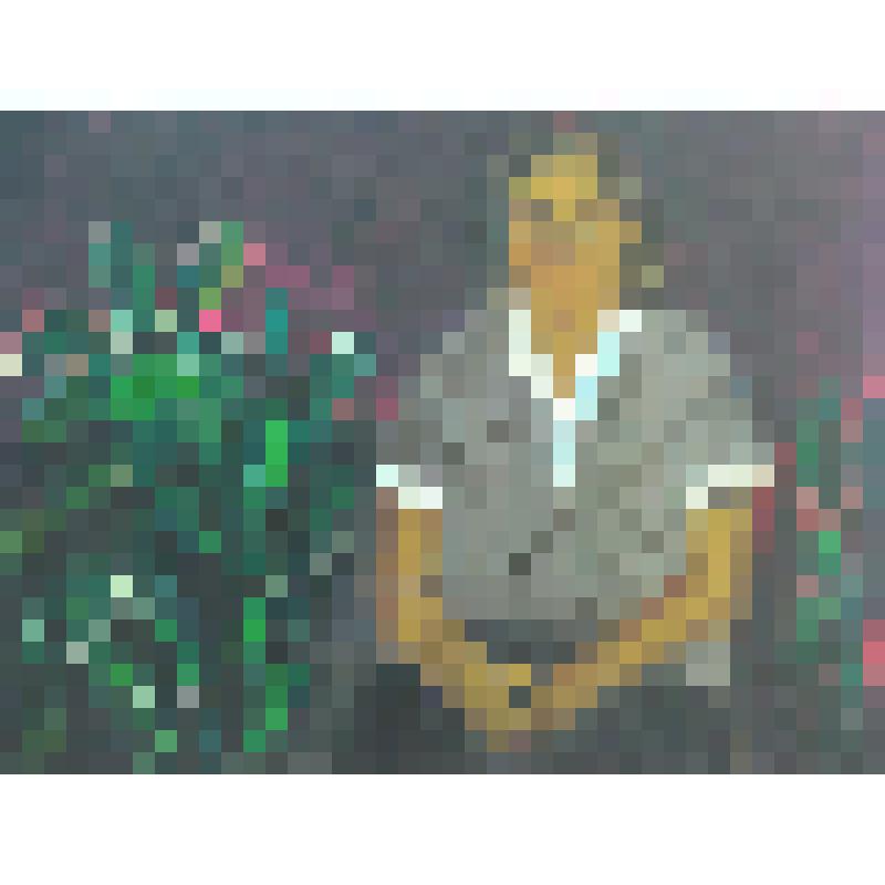 Маша Зорина